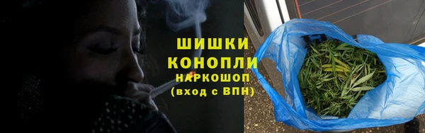 прущие крисы Медвежьегорск