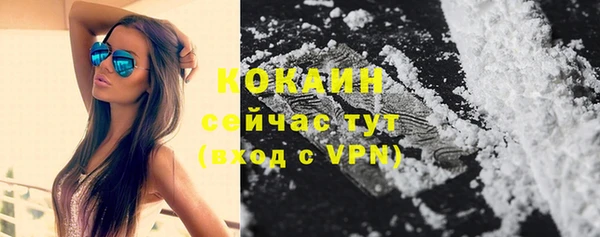 прущие крисы Медвежьегорск