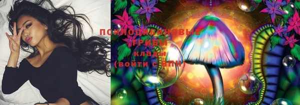 прущие крисы Медвежьегорск