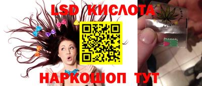прущие крисы Донской