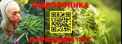 прущие крисы Донской