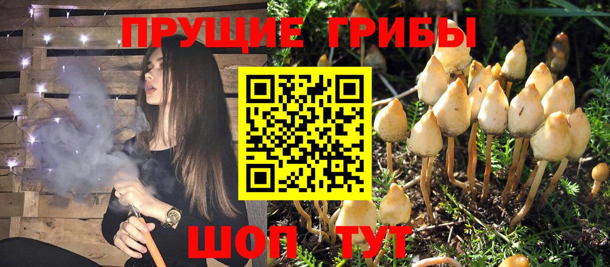 Псилоцибиновые грибы MAGIC MUSHROOMS Ханты-Мансийск