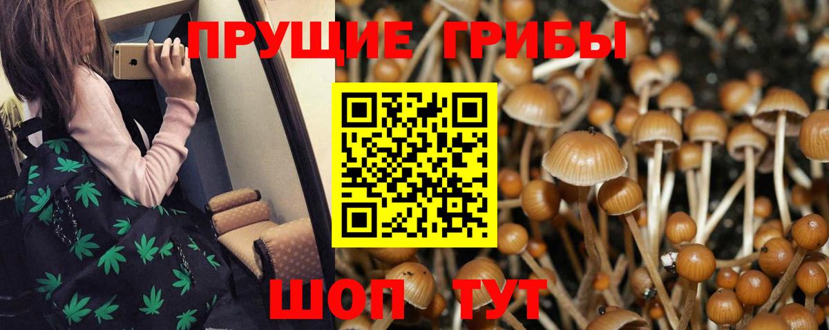 Галлюциногенные грибы мухоморы  Ханты-Мансийск 